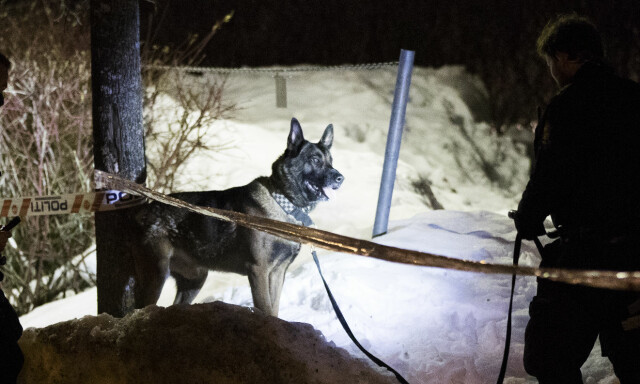 På innsiden av politiets harde kamp mot gjengmiljøet